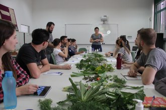 Pessoas participando de palestra. Sobre a mesa, há diversas plantas.