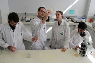 Leveduras são estudadas no LabBioLev, do Campus Chapecó