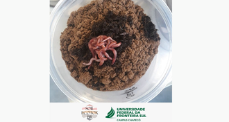 Imagem com solo em recipiente de laboratório e com minhocas dentro. Abaixo, as marcas da UFFS - Campus Chapecó e Soil Ecotox BR