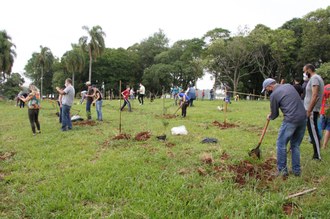 12112021 Bosque Fronteiras da Memória homenageia vítimas da covid-19 com 600 árvores plantadas