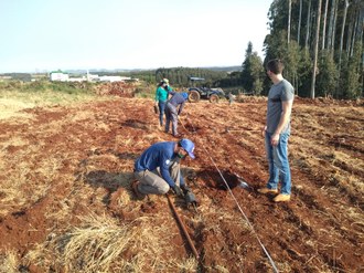 Na fotografia quatro pessoas estão trabalhando no preparo do terreno para o plantio das mudas. Ao fundo da foto observa-se um trator e mais ao longe os prédios do Campus Laranjeiras do Sul.