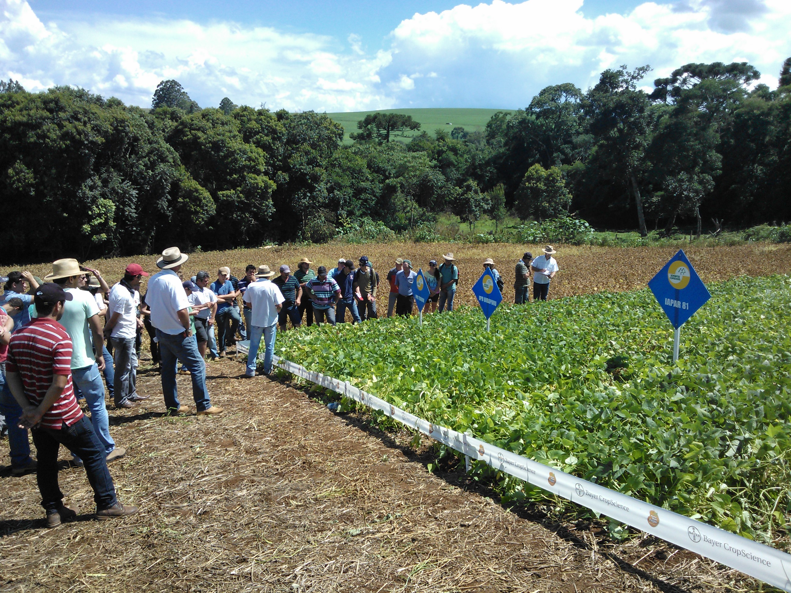 17-01-2014 - Dia de Campo.jpg