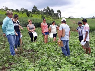 Na imagem pessoas, em uma plantação, realizam avaliação participativa do experimento.