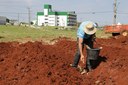 01112019 - 12 variedades de cana-de-açúcar foram plantadas na UFFS – Campus Realeza, uma das quatro unidades de avaliação (UFFS/Ariel Tavares)