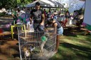 09042018 - Evento também contou com feira de adoção de cães e gatos (Ariel Tavares/UFFS)