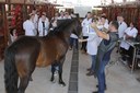 16092019 - VIII Semana Acadêmica de Medicina Veterinária