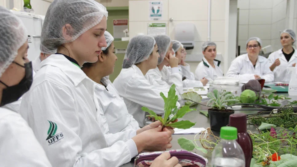 Pesquisadores da UFFS são contemplados com recursos do edital universal do CNPq