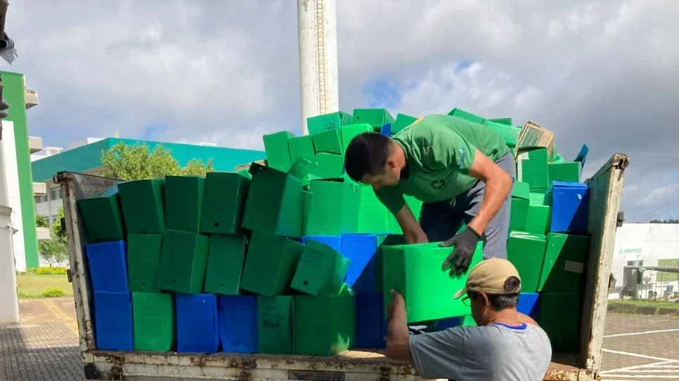 UFFS atende legislação e realiza quarta eliminação de documentos 